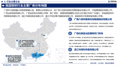 <b>2025年中国桉树行业现状阐发及成长趋向预测演讲</b>